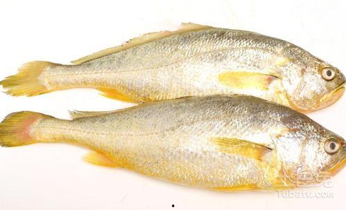 小黄鱼爆料新闻视频播放,揭秘新闻视频背后的真相  第3张