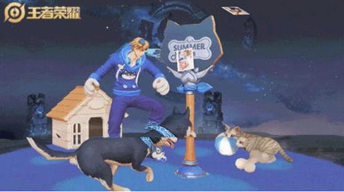 大乔猫狗爆料视频大全集,揭秘视频大全集精彩瞬间