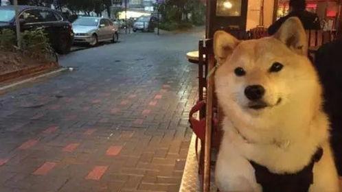 沭阳最新爆料新闻,揭秘当地重大事件背后真相  第1张