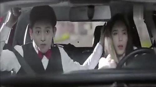 寒武纪在线观看360,一场跨越亿年的生命盛宴  第1张