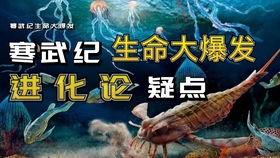 寒武纪在线观看360,一场跨越亿年的生命盛宴  第3张