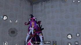 和平精灵爆料视频在哪看,揭秘精彩内容  第2张