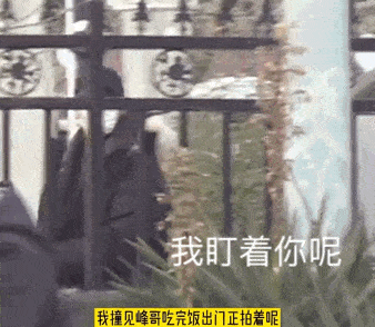 狗仔爆料无路可逃视频,无路可逃的明星隐私风暴  第1张